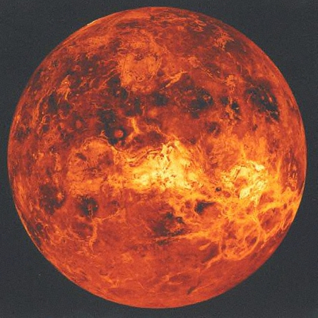 Venuše