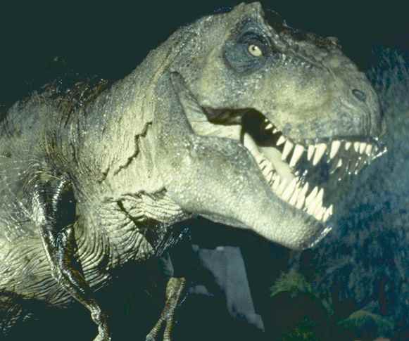 tiranosaurus rex
