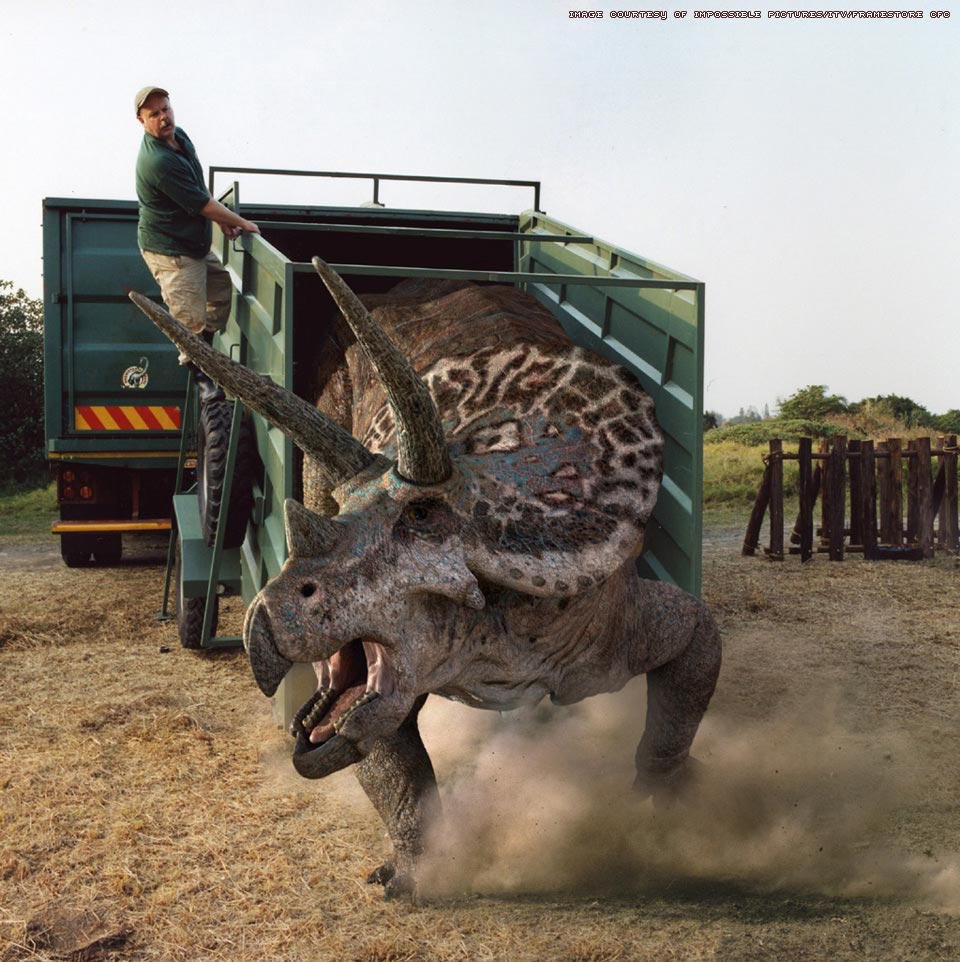 Triceratops